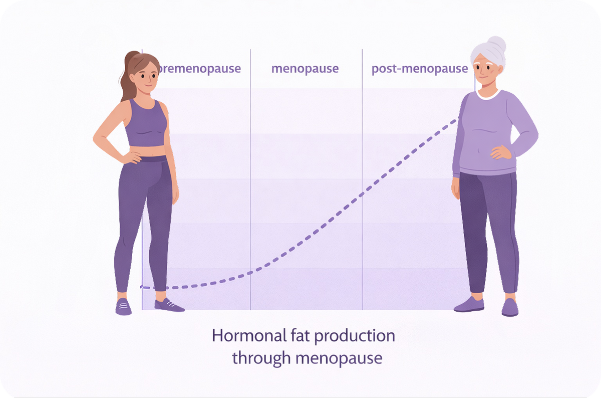 Why Weight Gain Feels Sudden and Impossible to Reverse After 40 Even With Diet and Exercise