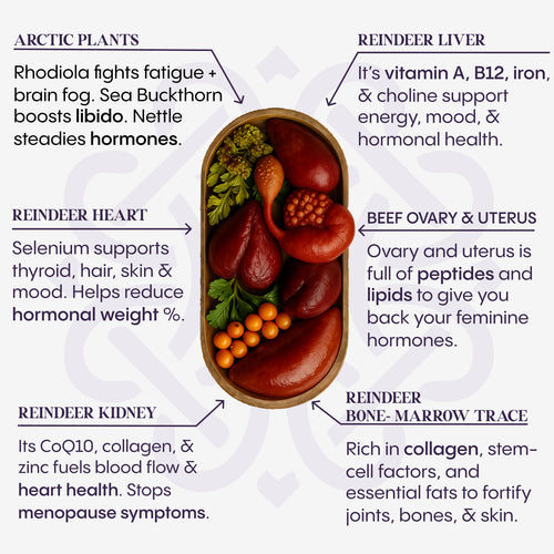 Reindeer Organ Superfood