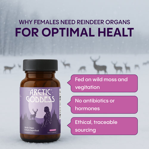 Reindeer Organ Superfood
