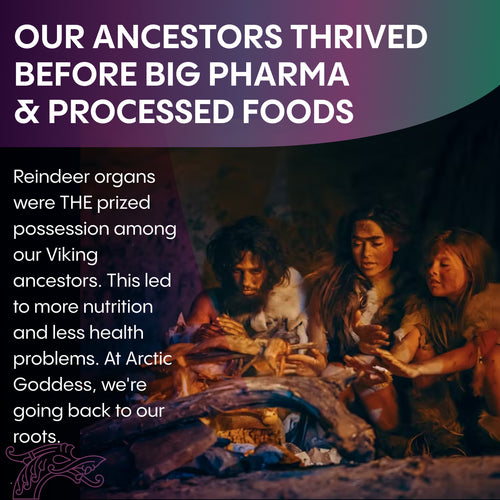 Reindeer Organ Superfood