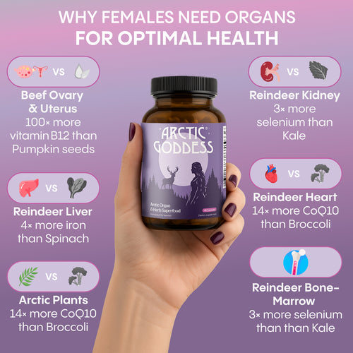 Reindeer Organ Superfood