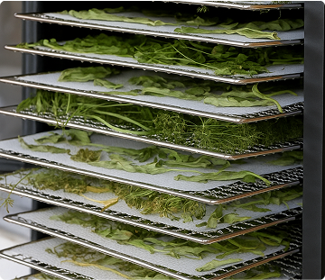 Traditionally Refined