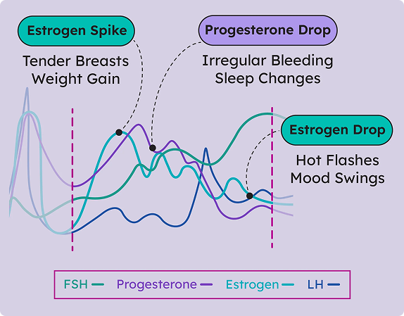 The Modern Hormone Crisis