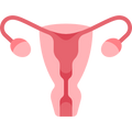 HORMONAL SUPPORT