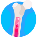 STRENGTH / COLLAGEN
