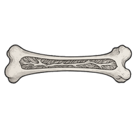 Reindeer Bone-Marrow Trace