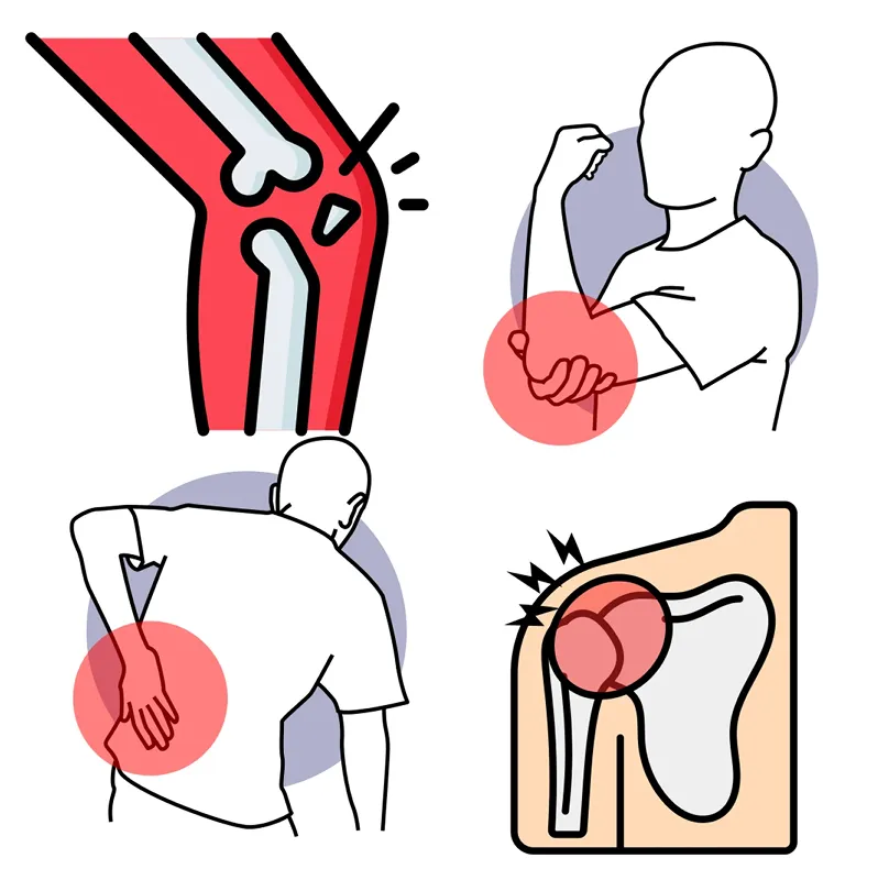 <strong>6. Unique Properties for Joints & Muscle Recovery</strong>