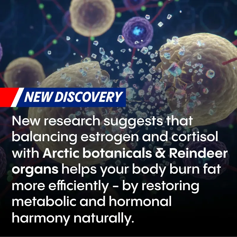 <strong>2. They Balance Estrogen & Progesterone Naturally</strong>