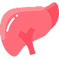 ENERGY / METABOLISM