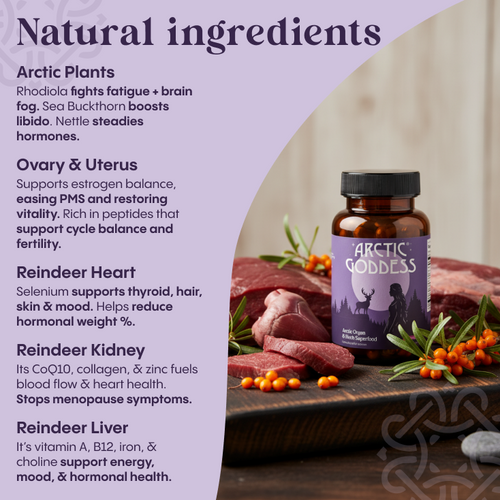 Reindeer Organ Superfood