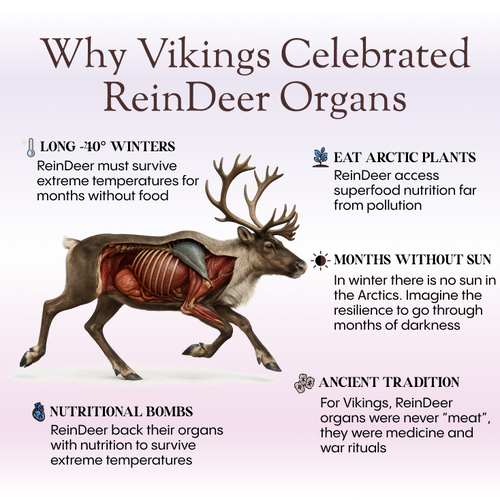 Reindeer Organ Superfood