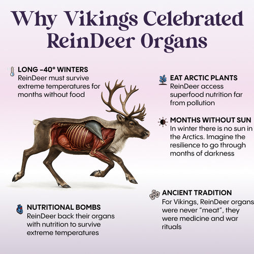 Reindeer Organ Superfood