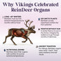 Reindeer Organ Superfood