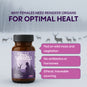 Reindeer Organ Superfood
