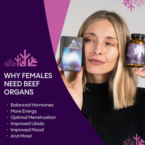 Reindeer Organ Superfood