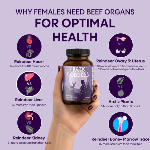 Reindeer Organ Superfood