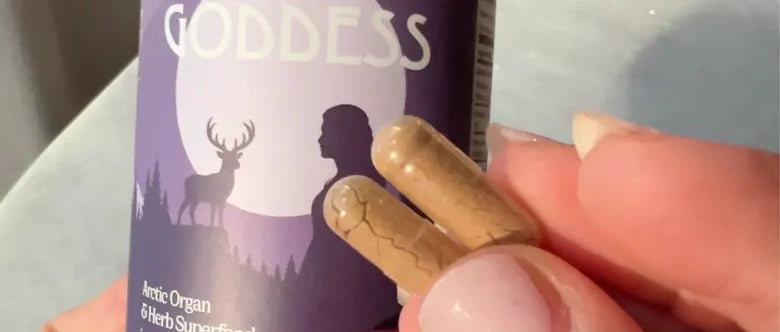 Two Arctic Goddess capsules held in front of the jar