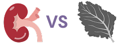 Nutrient image