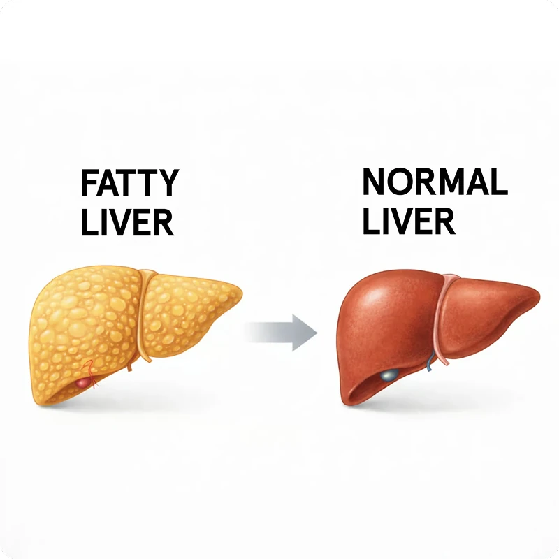<strong>10. Detoxes and transforms your liver</strong>