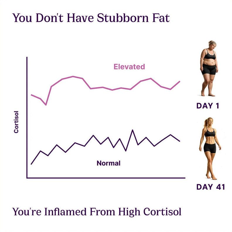 <strong>9. Resets the Cortisol System</strong>